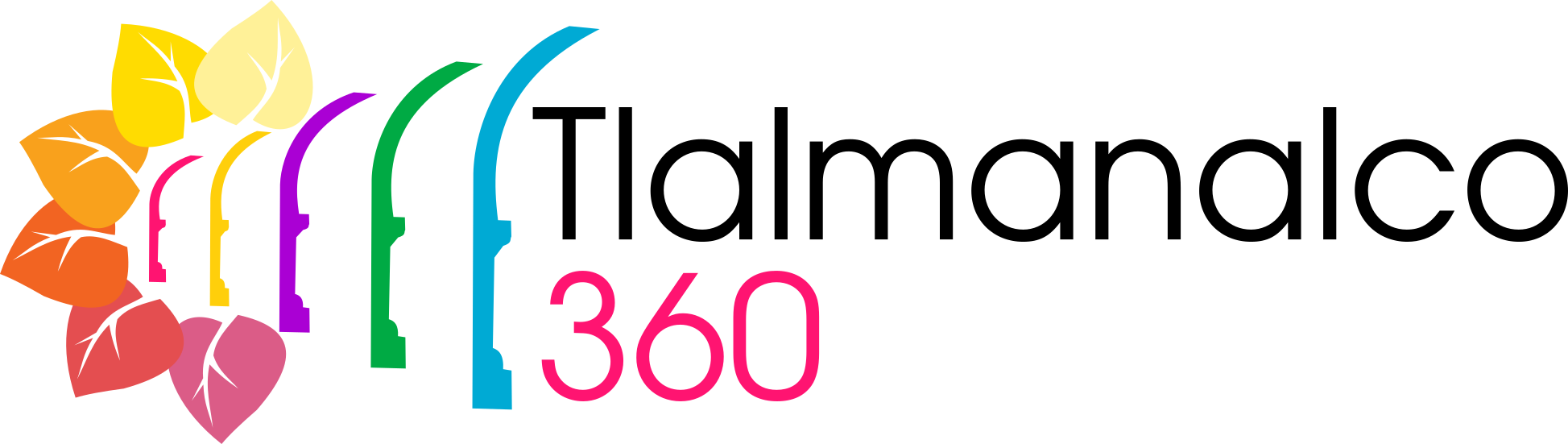 Logo de Tlalmanalco 360
